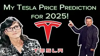 Tesla Stock Price Prediction for 2025!