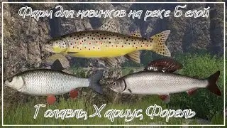 Фарм для новичков (хариус, форель, голавль) - река Белая - РР4┃maXS1k