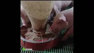 SISTEMA DE FORMULACIÓN DE DIETAS COASGROP.