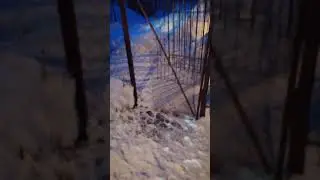 вышли кормить, а Лекса в бегах)