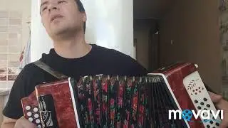 Исчезли солнечные дни