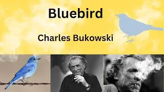 Bluebird by Charles Bukowski #poetry #poetrycommunity #poem #poems #poetrystatus #ugcnetenglish