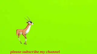 walking deer... no copyright