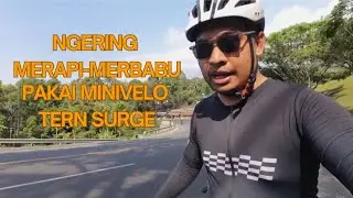 TEST THE LIMITS! Tern Surge 