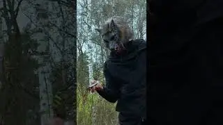 Банда сектантов устроила ТАКОЕ (смотреть до конца!)