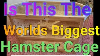 Is This The Worlds Biggest Hamster Cage