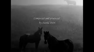 David Petri :  " Animal Clout "   Album: " Animal Convention " -  2016 Sebastopol, CA
