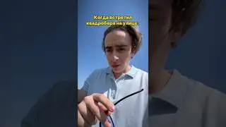 Когда встретил квадробера: #элемент