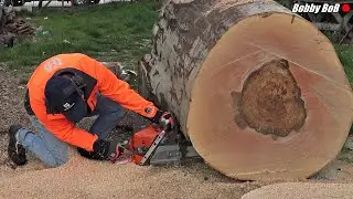 Husqvarna 592XP 36'' bar 💪🙂