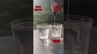 EXPERIMENT ON FEVICOL|| WAIT FOR TWIST 😁 