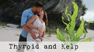 Thyroid and Metabolism | Kelp Hashimoto and Thyroid Hormone: Thomas DeLauer
