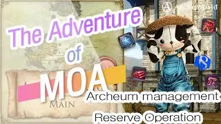 [ArcheWorld] Archeum Management Reserve Operation