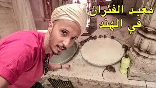 دخلت لمعبد الفئران في الهند و انصدمت بما شفت 😨🐀