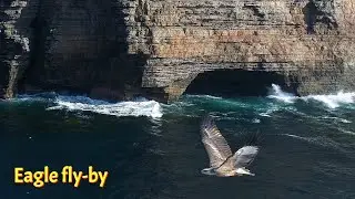 Eagle fly-by (drone)