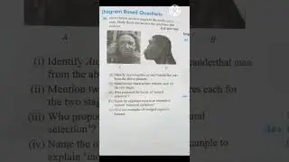 Human Evolution Class10 icse