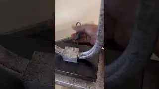 Amazing Lamp Find 