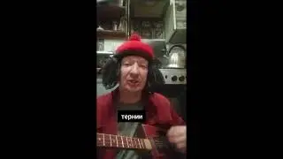 #пфр #пфильмы #панкрок