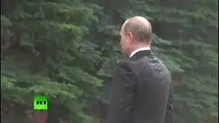 President Putin - Sigma male🇷🇺✊ (The Perfect Girl)
