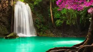 nature background for video editing 