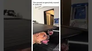 Oh my gosh