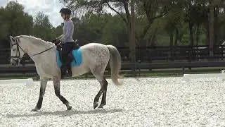 Javi.Karla.3.9.19.4