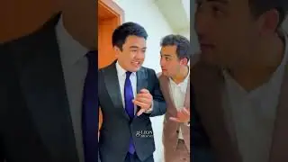Udarlari