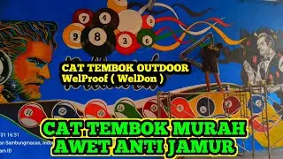 Cat Tembok Murah Awet Anti jamur ( welProof  ) WelDon
