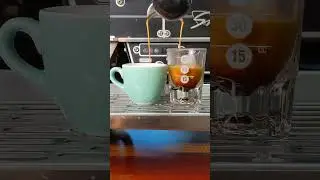 Shot of Espresso - ASMR