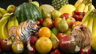 green screen tiger and lion
