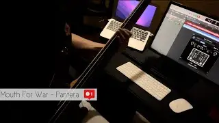 Mouth For War - Pantera - Bass Cover 2023 - ( Parallax )