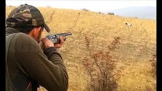 Keklik Avı 2017