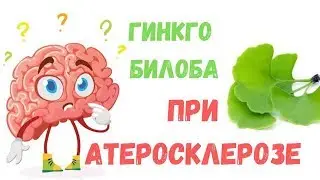Гинкго Билоба: инструкция, состав, применение при атеросклерозе