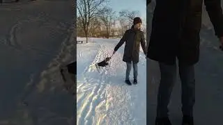 Джек Рассел вертолётчик