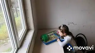 Умер наш хомячок 🐹😔😭