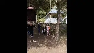 Убакыт учкан куш