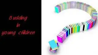 Budding in young children