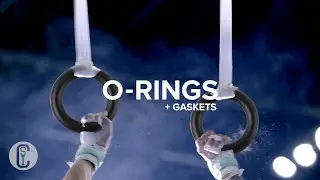 Go for Gold with O-rings and Gaskets! | CSI STORE