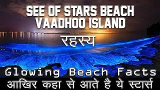 Sea of Stars, Vaadhoo Island - Fact in Hindi (ग्लोइंग स्टार का रहस्य) || Explore You ||