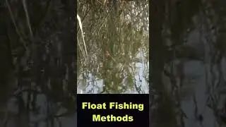Fishing with floats, catching in summer 