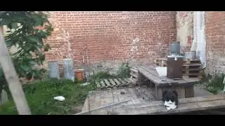 планы новой стройки! и перосъемная машинка в действии