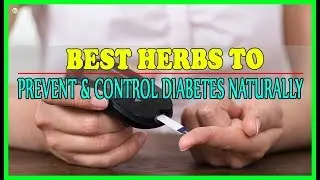 Best Herbs To Prevent And Control Diabetes Naturally | Best Home Remedies