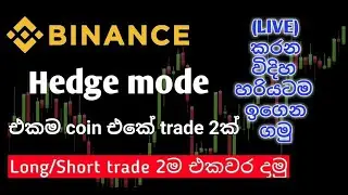 Hedge Mode ගැන සරලව ...