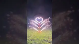 Дерево любви #short #shorts #fireworks #megapir