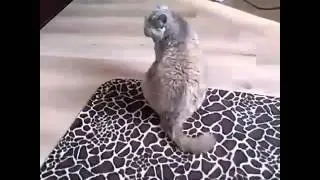 Фу, как некультурно