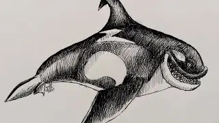 How to Draw Killer Whale || Hungry Shark World - Danny the Dinosaur Drawer