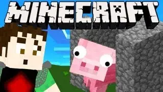 Minecraft - PIG HOUSE