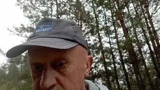 Маслята не пустили к белым грибам