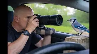 Car Birding