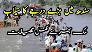 Flood Update in all over Pakistan | Flood update of River Pakistan