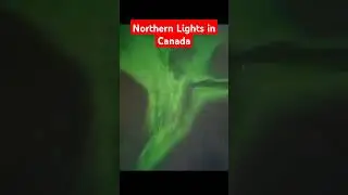 STUNNING NORTHERN LIGHTS TONIGHT #auroraborealis #northernlights #canada